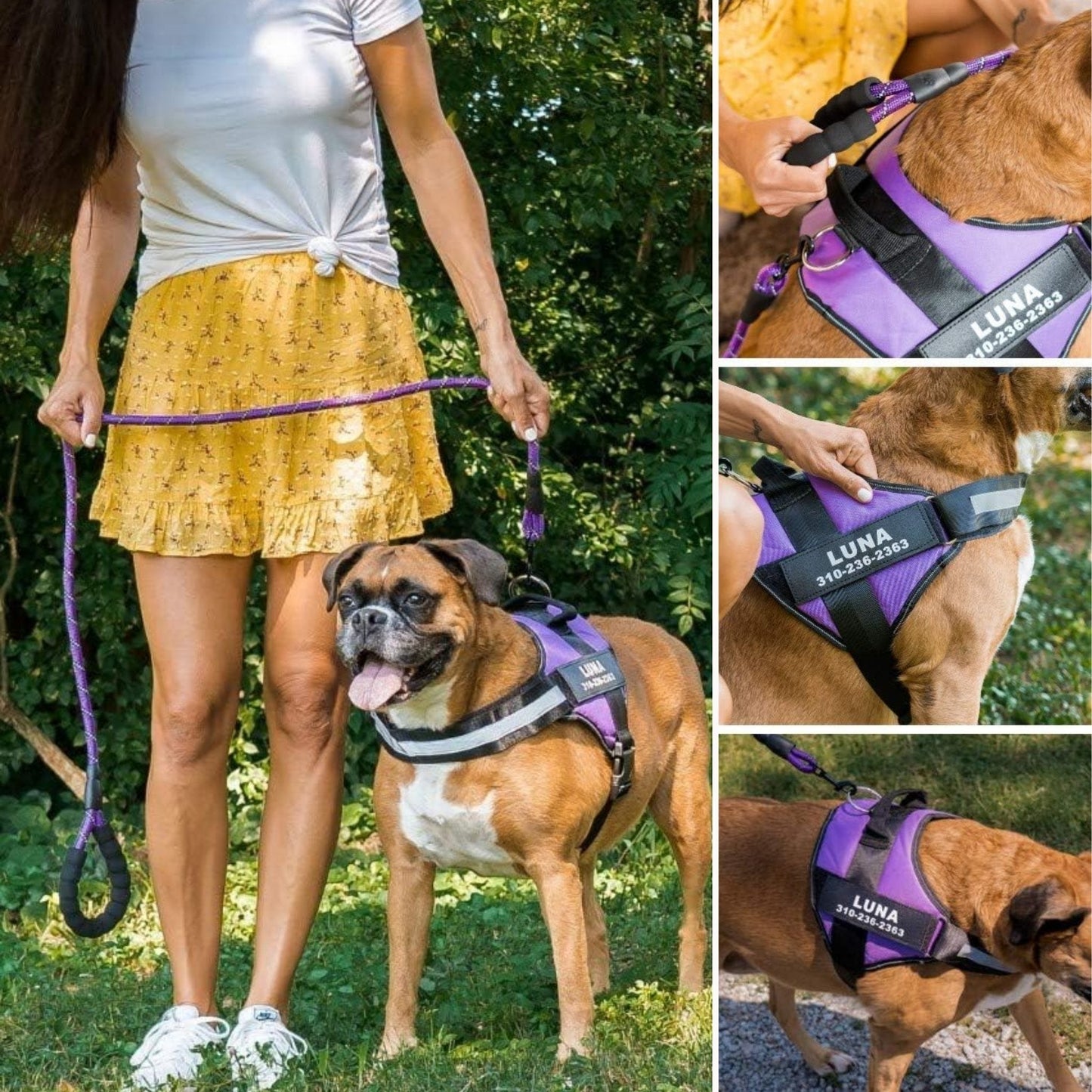Petano PetGuard - Gepersonaliseerd Hondentuigje