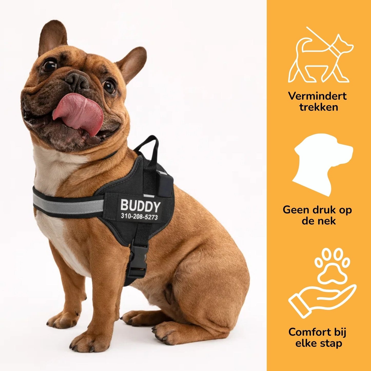 Petano PetGuard - Gepersonaliseerd Hondentuigje