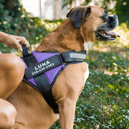 Petano PetGuard - Gepersonaliseerd Hondentuigje