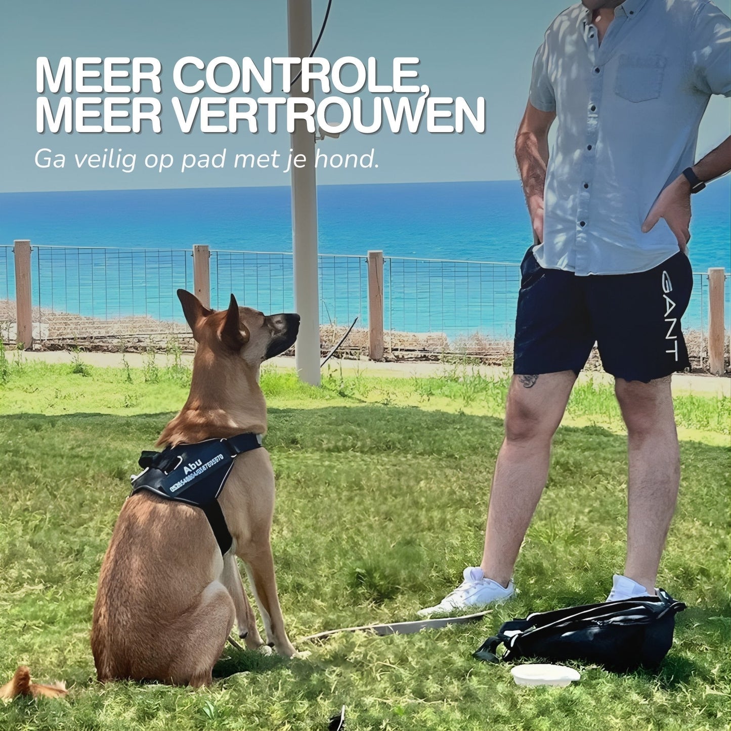 Petano PetGuard - Gepersonaliseerd Hondentuigje